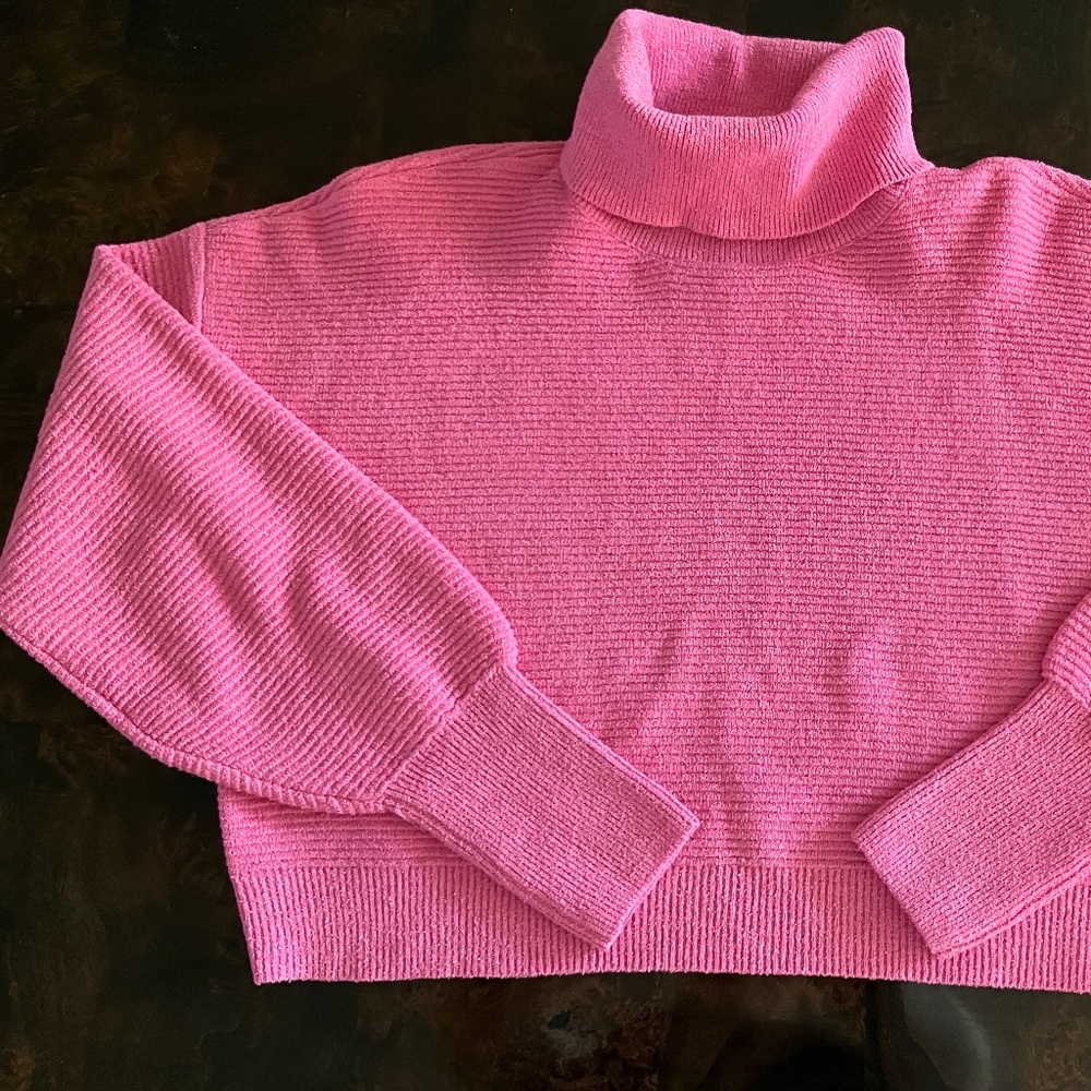 Cotton blend crop turtleneck